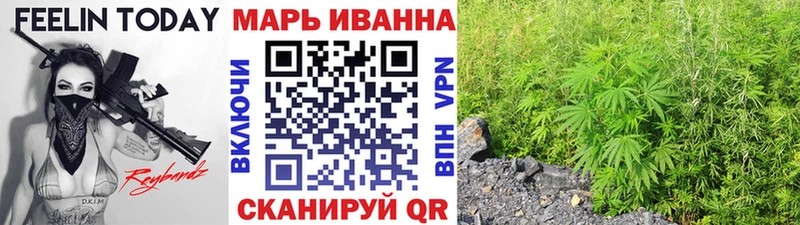 Где купить наркотики Кинель Гашиш A-PVP Мефедрон Галлюциногенные грибы Конопля