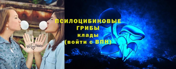 apvp Беломорск